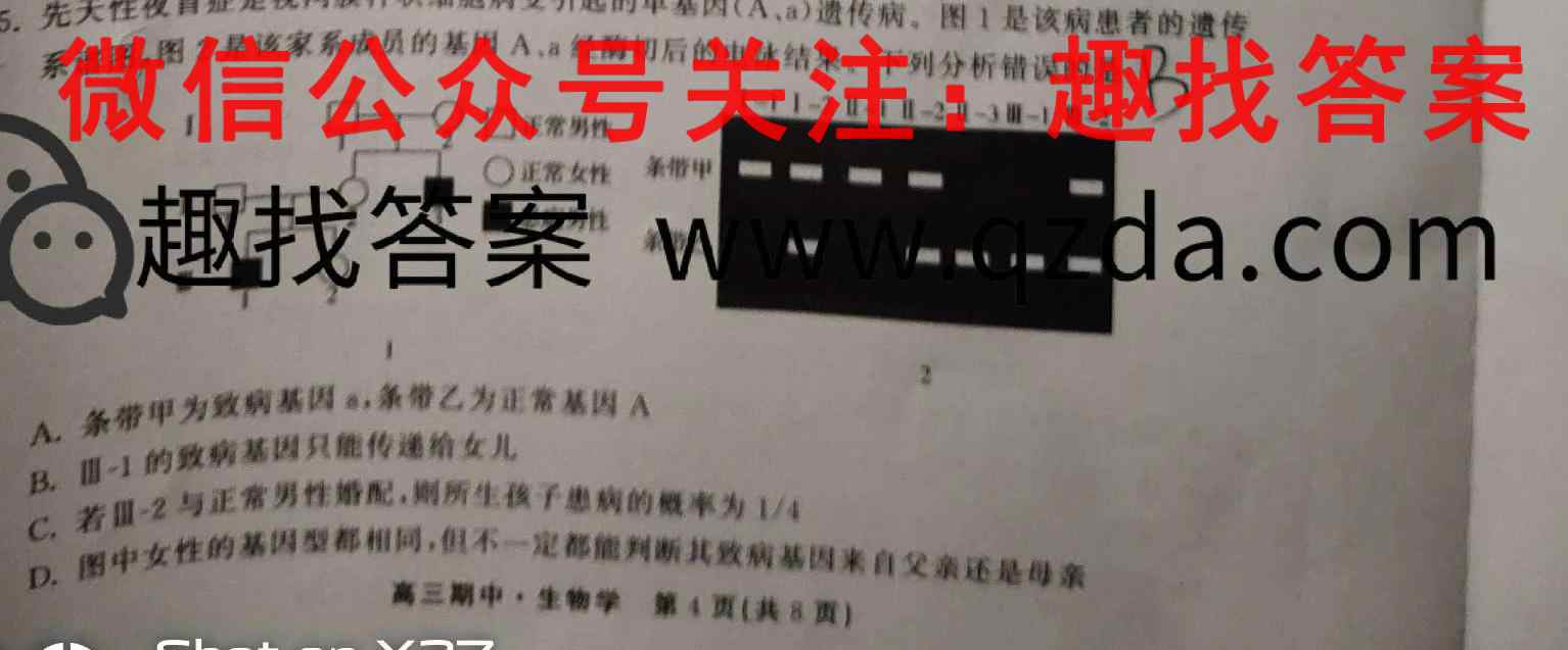 2023年普通高等学校全国统一模拟招生考试 新未来12月高一联考生物
