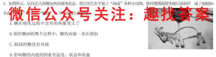 金考卷·百校联盟(新高考卷)2023年普通高等学校招生全国统一考试 领航卷3(三)物理