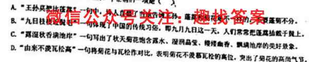 名校之约 2023届高三分科模拟检测卷1(一)语文