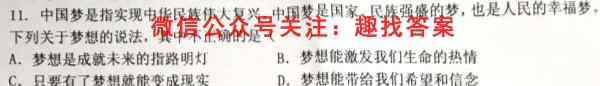 2023年普通高等学校招生全国统一考试·S3最新模拟卷(六)历史