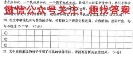 2022-2023学年陕西省九年级教学质量检测(23-CZ55c)语文
