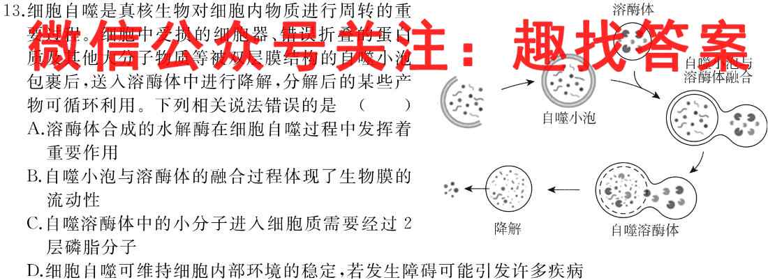 天一大联考·皖豫名校联盟2022-2023学年(上)高二阶段性测试(二)生物