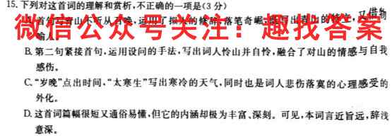 2023届新高考模拟01语文