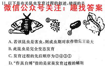 2023届衡水金卷先享题·专项分组练 新高考 高考大题分组练 十生物