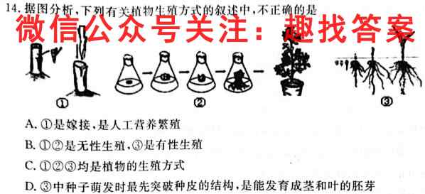 2023年普通高等学校全国统一模拟招生考试 新未来12月联考生物