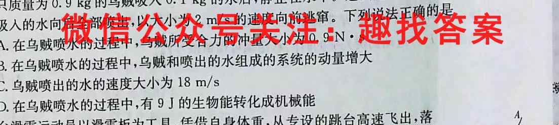NT2022-2023学年高二第一学期第二次阶段测试卷物理