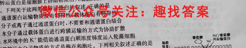 山东省2022-2023学年新高考联合质量测评12月联考试题生物