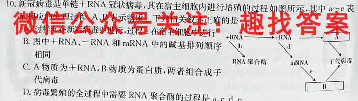 2023衡水金卷先享题调研卷新教材B生物试卷答案