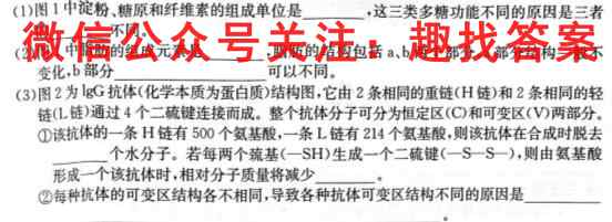天一大联考·皖豫名校联盟2022-2023学年(上)高一阶段性测试(二)生物