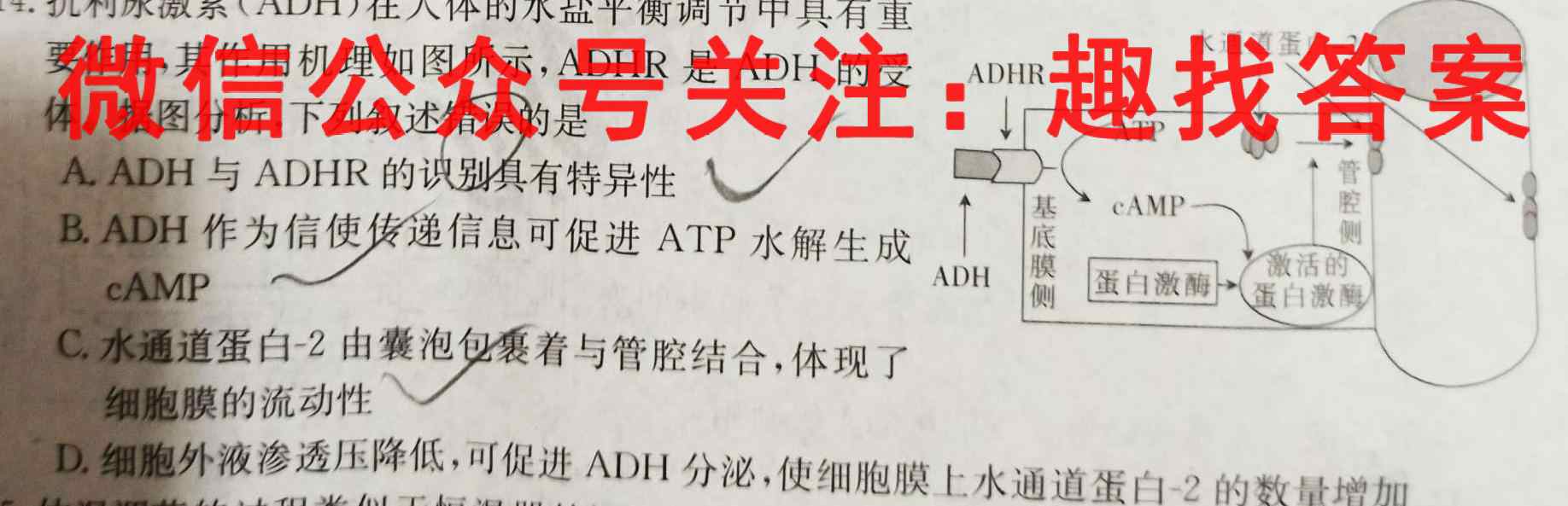 2023衡中同卷调研卷B(一)生物