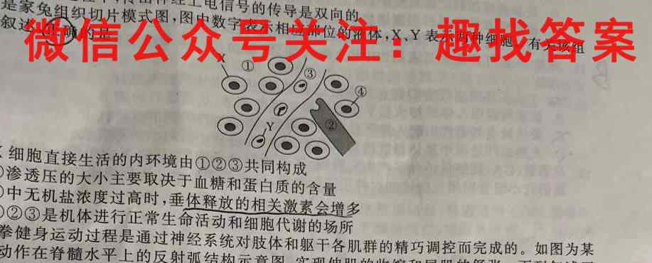 广东省江门一中2022-2023雅礼中学高二级第一学期第2次学段考试生物