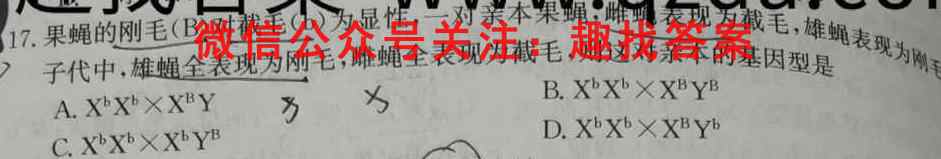 2022-2023学年贵州省2024届高二"三新"改革联盟校联考试卷(6六)生物试卷答案