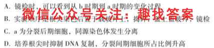 2022-2023学年贵州省2024届高二"三新"改革联盟校联考试卷(6六)生物试卷答案