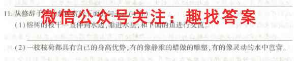 2023年普通高等学校招生全国统一考试样卷1(一)语文