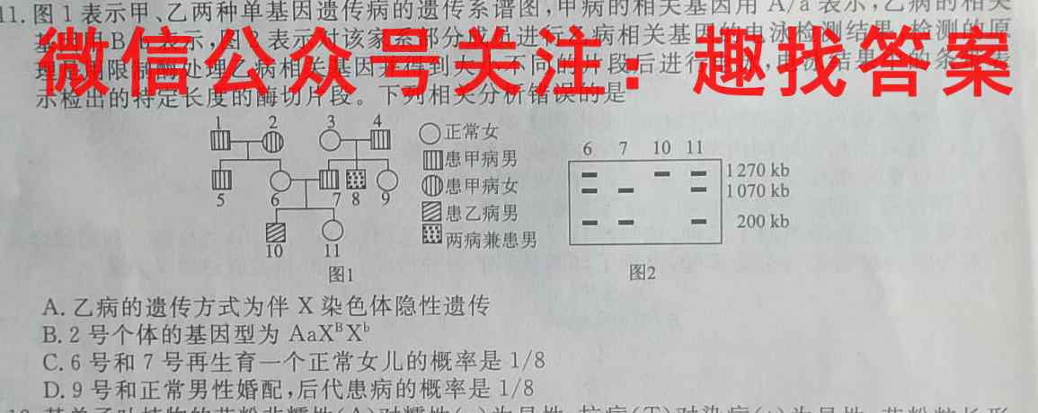 2023普通高等学校招生全国统一考试新高考仿真卷(一)1生物试卷答案