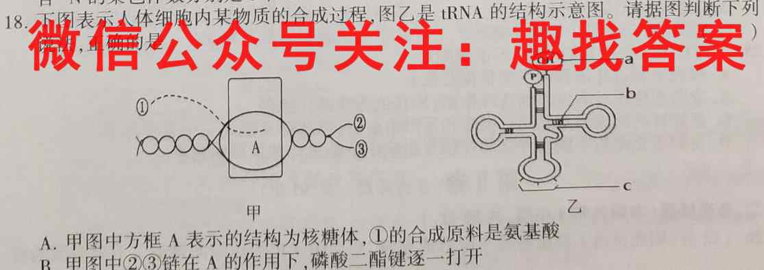 学科网2022年高三12月大联考考后强化卷(新教材)生物试卷答案