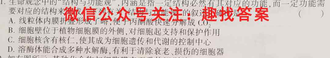 广西2023届高三12月联考(E3032C)生物试卷答案