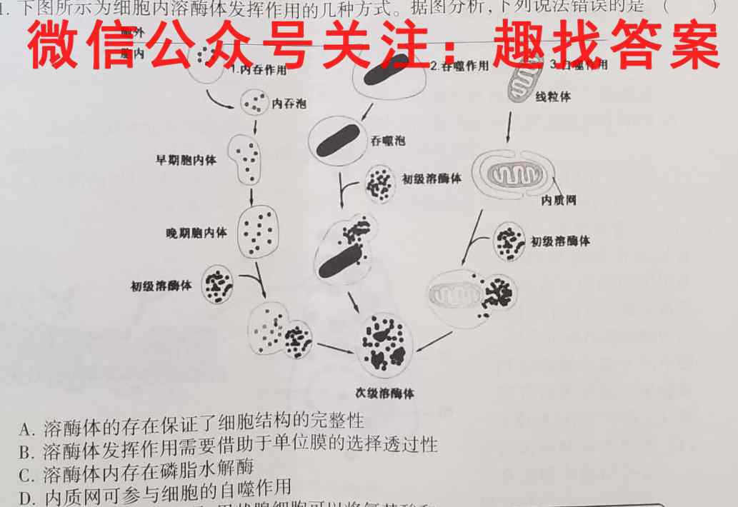 NT教育2022-2023学年度高三年级第一学期期末考试生物试卷答案