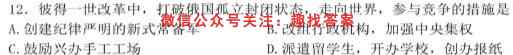 2023年普通高等学校招生全国统一考试模拟试题三3历史