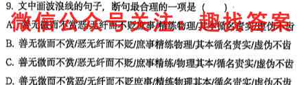 江西省2022-2023学年度九年级阶段性练*(3三)语文
