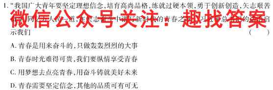 2023年普通高等学校招生统一考试模拟信息卷 新S3(四)地理