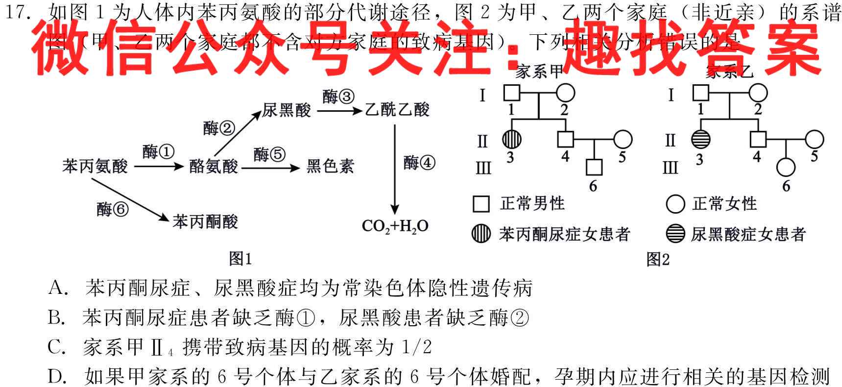 安徽省2023届高三阶段性质量检测卷(23311C)生物试卷答案