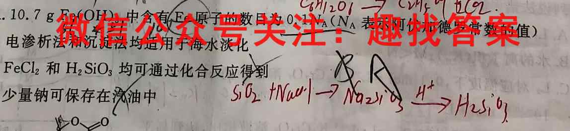 2023全国新高考模拟信息卷XX(一)化学