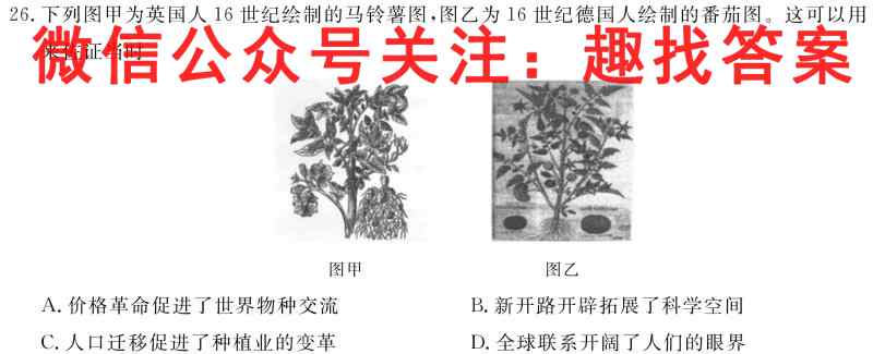 2022年新高考联考协作体 衡水金卷高二12月联考政治