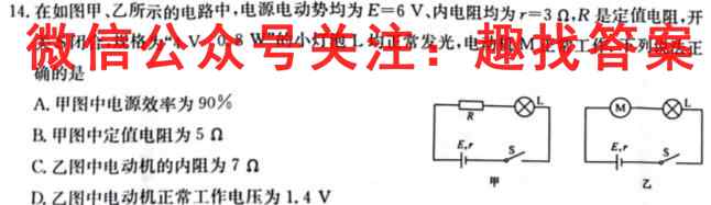 2023届新高考模拟01物理