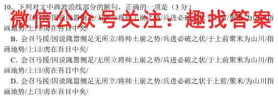 2023年普通高等学校招生统一考试模拟信息卷 新S3(四)语文