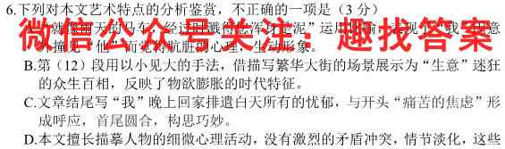 非凡吉创 2022-2023学年高三年级TOP二十名校十二月调研考语文