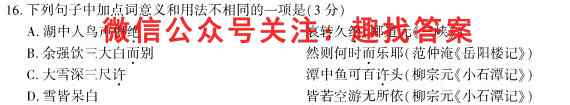 山东省2022-2023学年新高考联合质量测评12月联考试题语文
