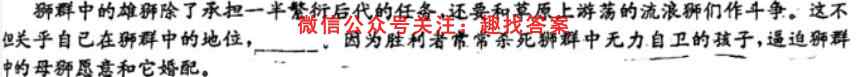 天一大联考·皖豫名校联盟2022-2023学年(上)高二阶段性测试(二)语文