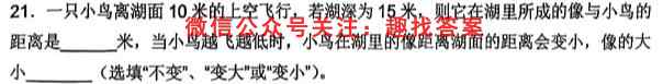 2023普通高等学校招生全国统一考试内参模拟测试卷 新高考(一)1物理