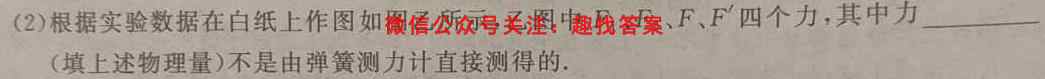 2023年普通高等学校招生统一考试 新S3·最新模拟卷(6六)物理