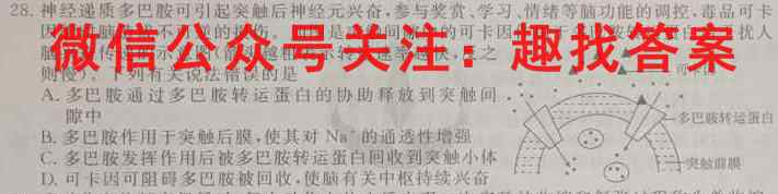 2022-2023学年重庆市渝东九校联盟高2025届(高一上)期中联考生物