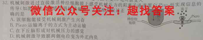 衡水金卷 2022-2023学年度上学期高二年级五调考试(新教材新高考·月考卷)生物
