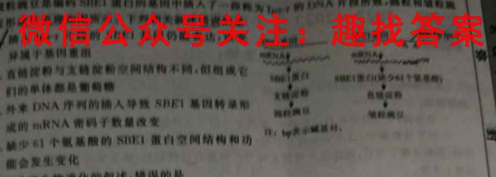 南阳一中2022-2023学年秋期高二年级上学期第四次月考生物