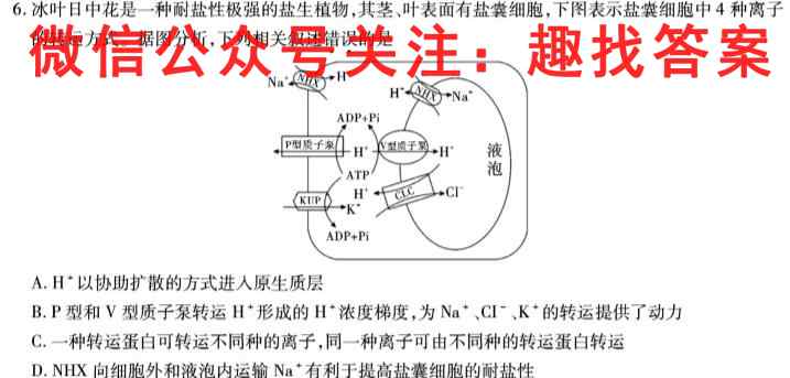 衡水金卷先享题 2022-2023学年度上学期高三年级六调考试(新教材)生物