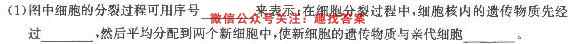 2023届培优限时练·名校信息优化卷(四)4生物