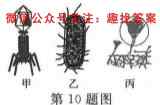 文博志鸿 2022-2023学年七年级第一学期期末教学质量检测生物