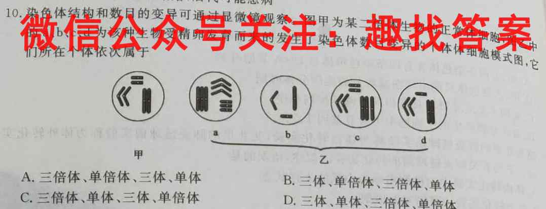 衡水金卷先享题调研卷2023届全国卷(一)生物