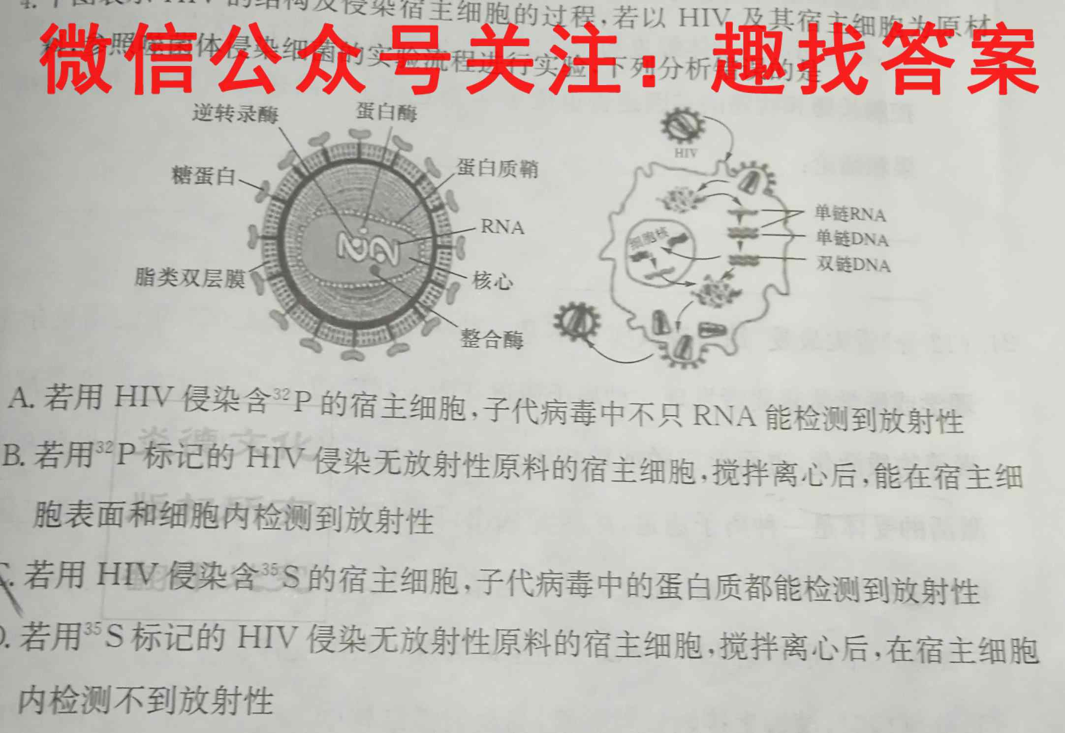 湖北省部分市州2023年元月高三年级联合调研考试生物
