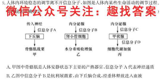 2023年全国高考·仿真模拟卷(六)6生物