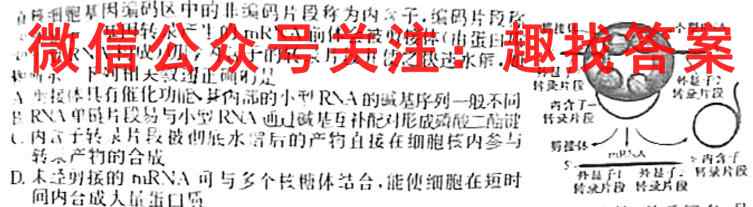 衡水金卷先享题 2022-2023学年度上学期高三年级七调考试(新教材)生物