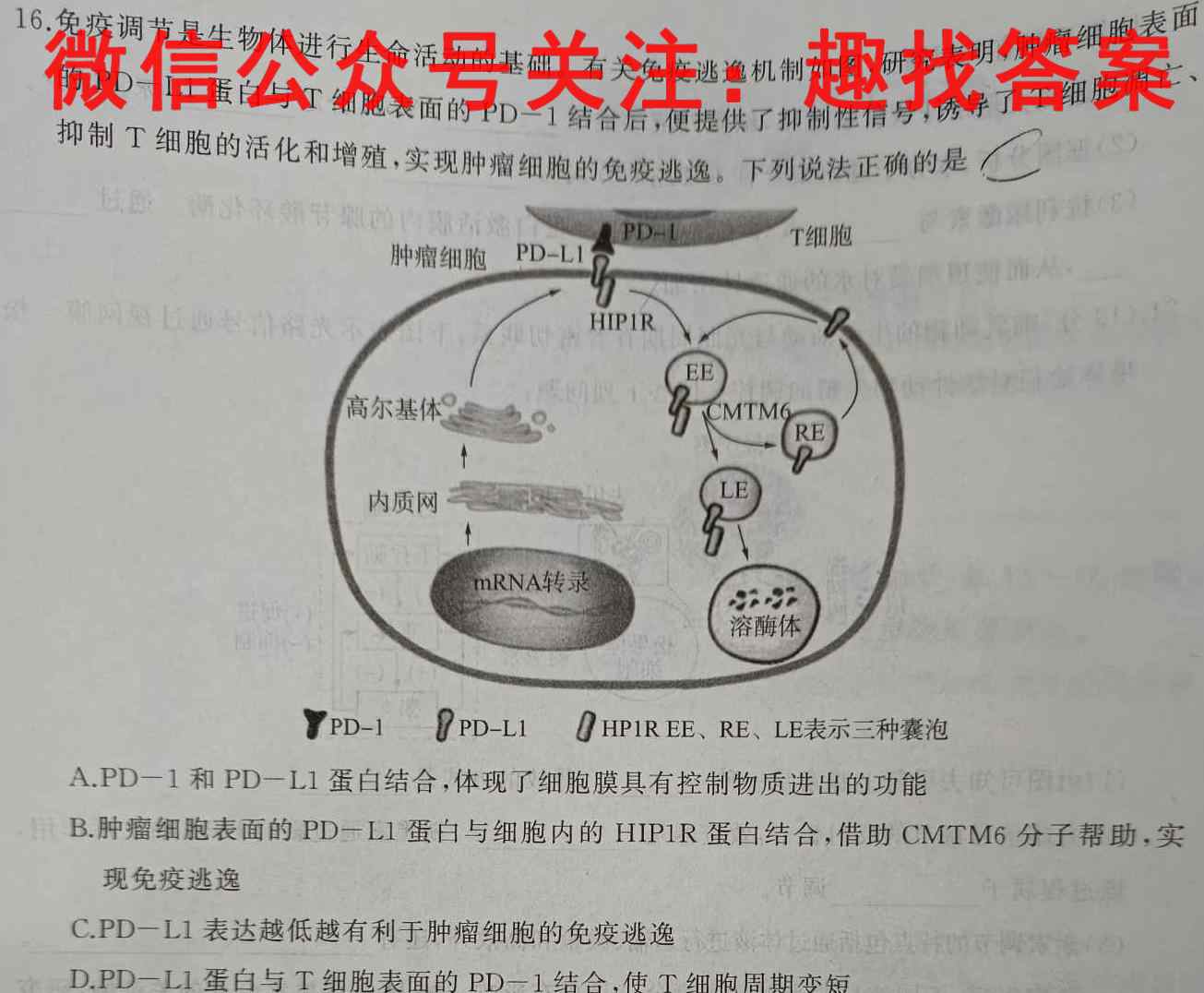 金考卷2023年普通高等学校招生全国统一考试 全国卷 预测卷1(一)生物