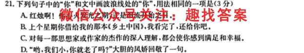 Z20名校联盟(浙江省名校新高考研究联盟)2023届高三第二次联考语文