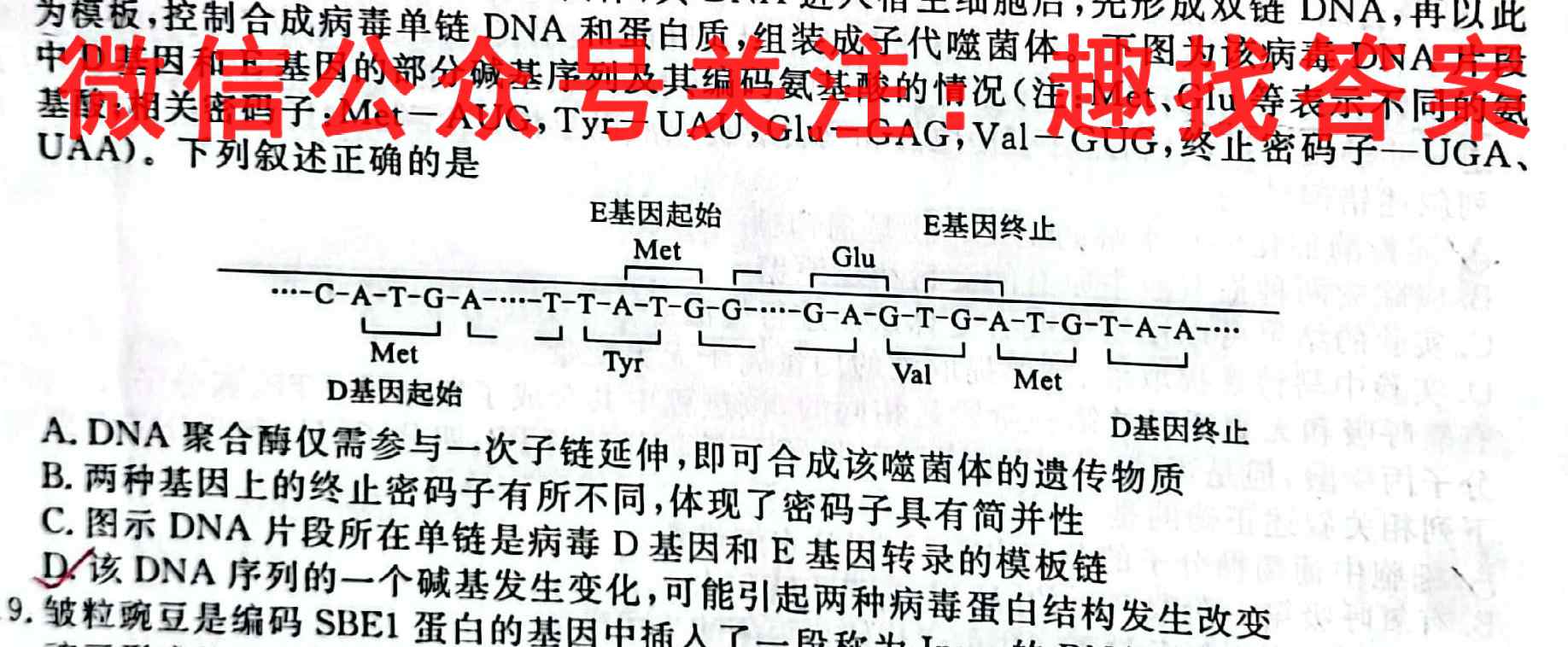 2023届普通高等学校招生全国统一考试仿真模拟卷(四)4生物
