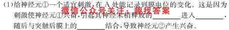山东省2022-2023学年新高考联合质量测评12月联考试题生物