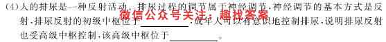 2023届全国普通高等学校招生统一考试(新高考) JY高三模拟卷(二)生物